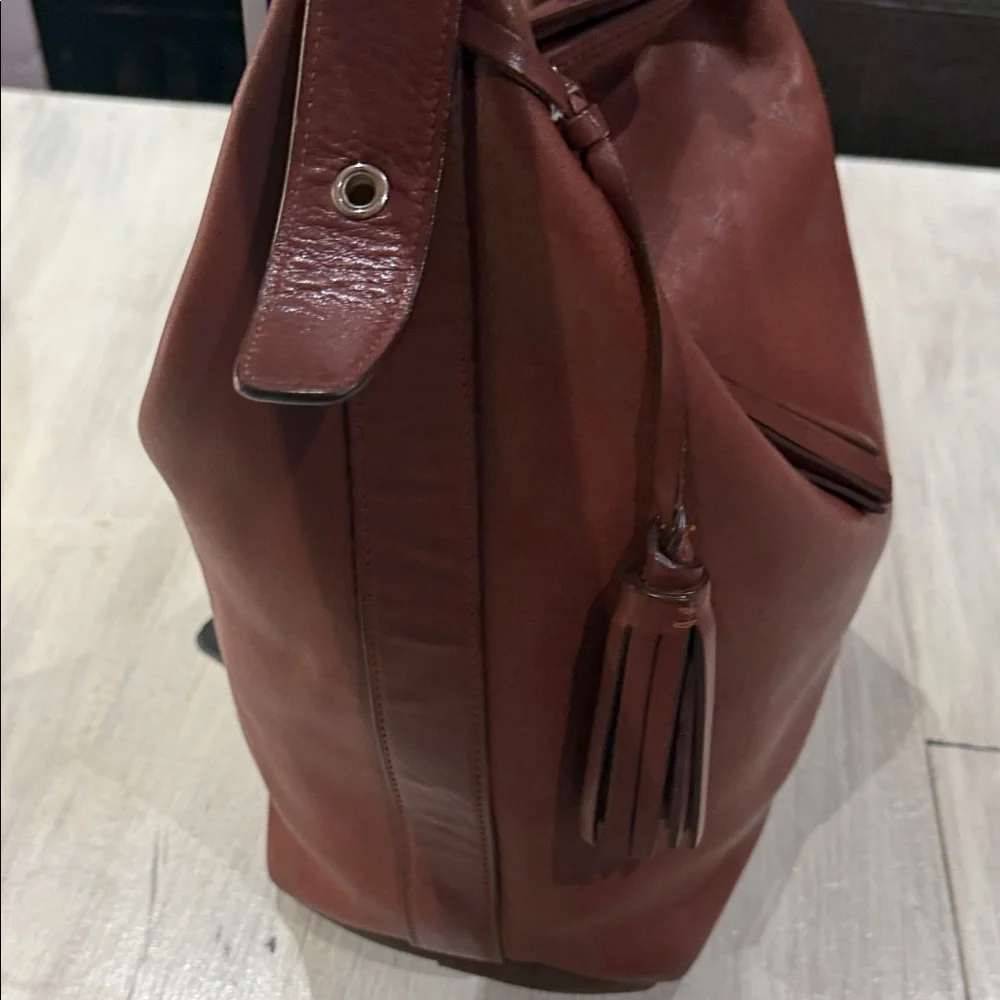 Coach luxurious hobo